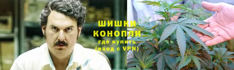 где продают наркотики  Прокопьевск  Канабис White Widow 